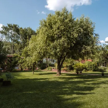 Villa Liget Rezidencia