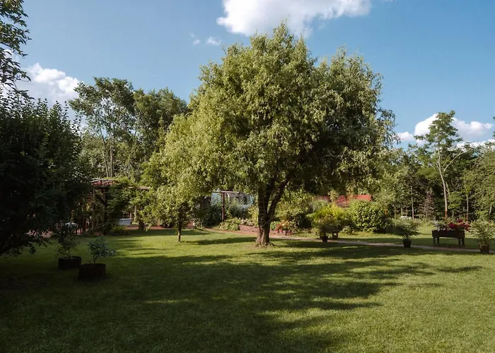 Villa Liget Rezidencia