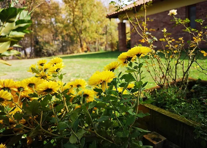 Liget Rezidencia Вилла