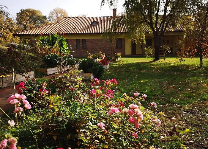 Liget Rezidencia Zakanyszek